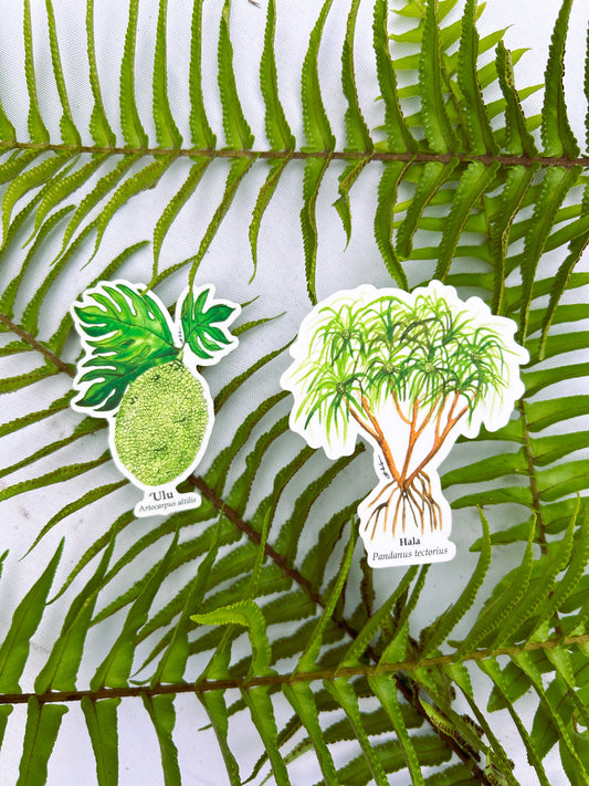 Hawaiian Plant Sticker