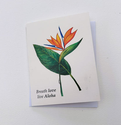 Bird of paradise Greeting card
