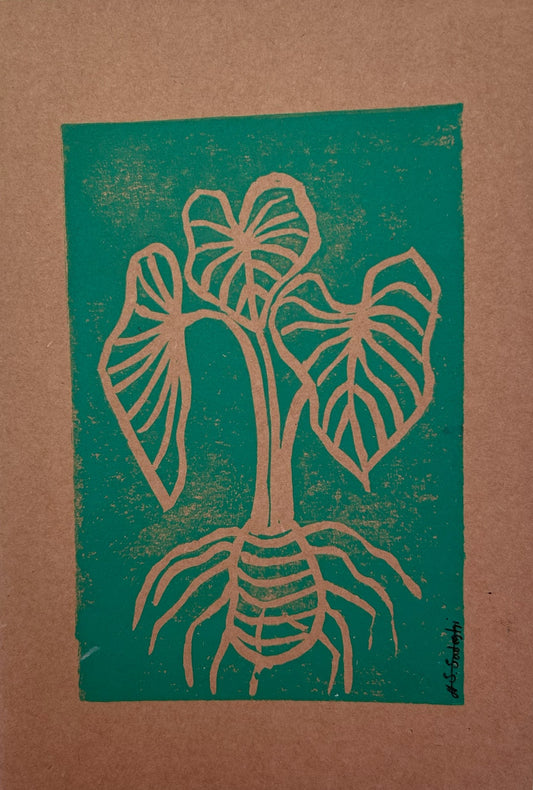 Kalo Notebook